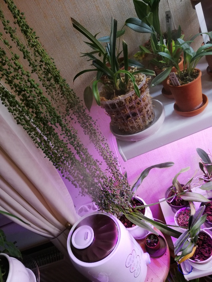 20201230_091636.jpg