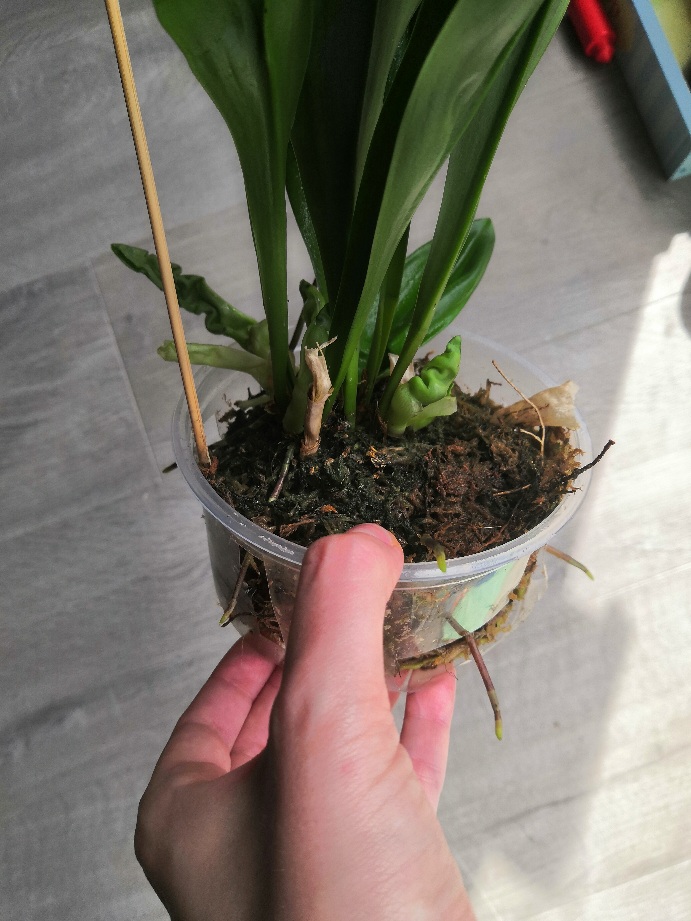 20201230_091539.jpg