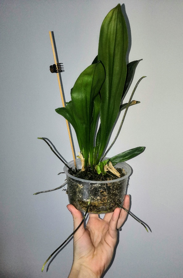 20201230_091513.jpg