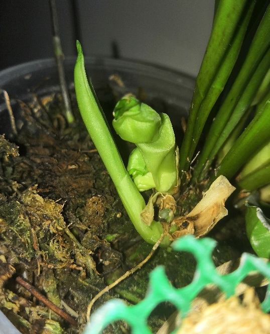 20201230_091449.jpg