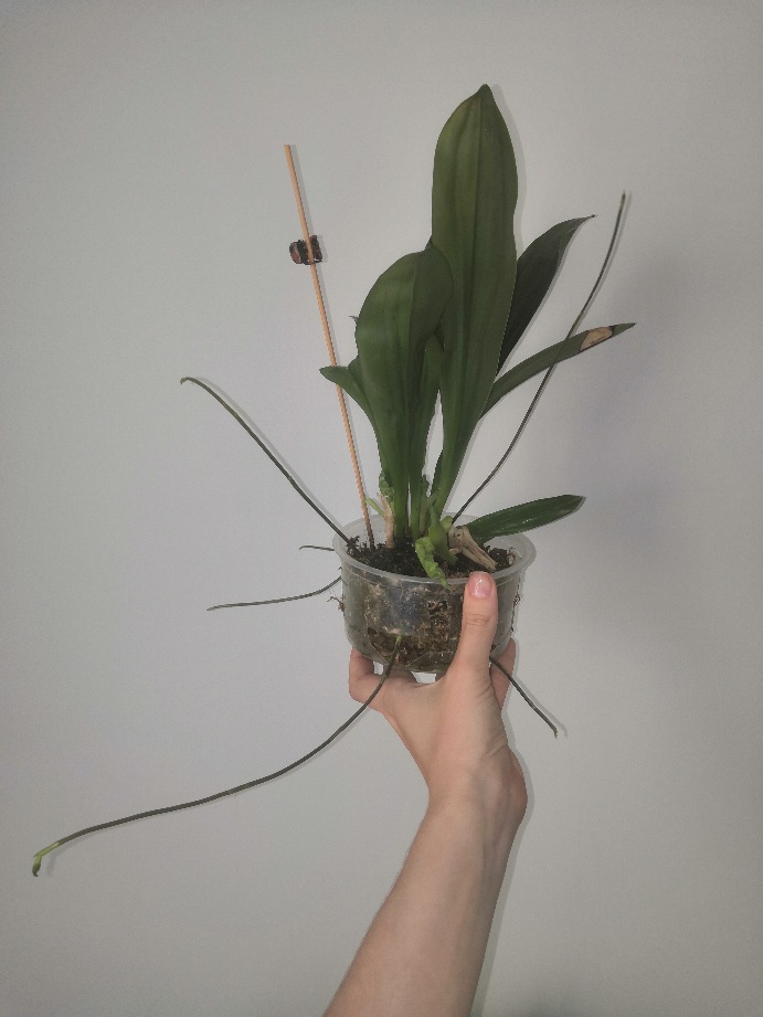 20201230_091430.jpg