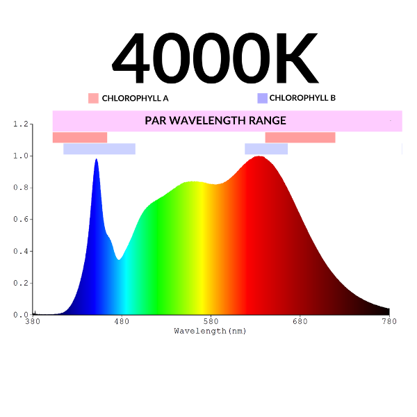 4000k-photon.png