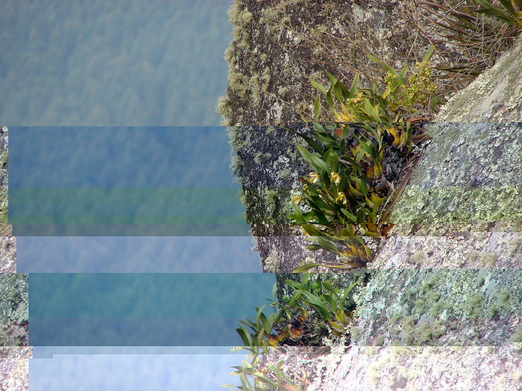 2639600326_6472410c9d_b.jpg